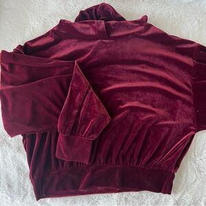 Express Cropped Velour Hoodie - NWOT